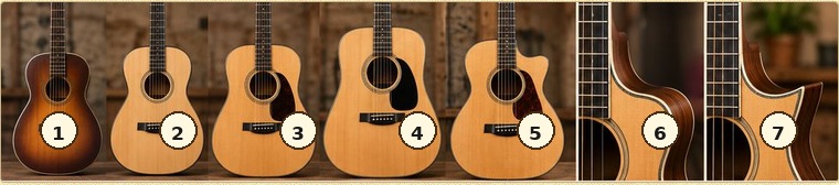 Numbered guide to the acoustic guitar body and cutaway shapes shown in this section, read left to right.